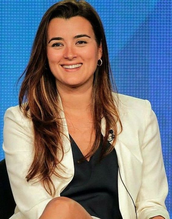 Will Ziva David return to replace Agent Gibbs on NCIS..?